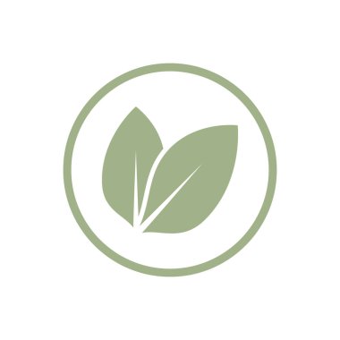 Green leaf illustration nature logo and symbol design