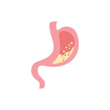 Stomach logo icon illustration vector flat and symbol design