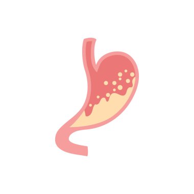 Stomach logo icon illustration vector flat and symbol design
