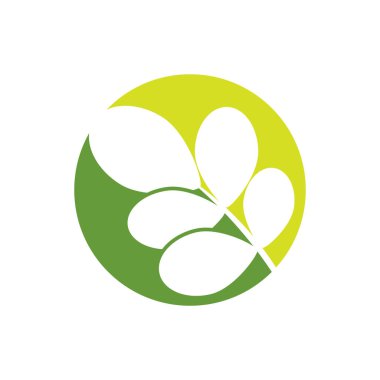 Moringa yaprağı logo şablonu vektör sembolü doğa