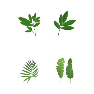 Yaprak ve Kapalı Mercek Doğa Fotoğrafçısı logosu tasarımı için ilham kaynağı