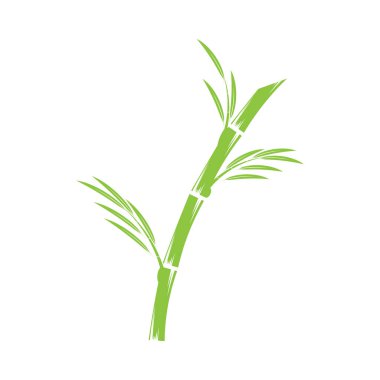 Bambu Logo Şablonu vektör çizimi tasarımı