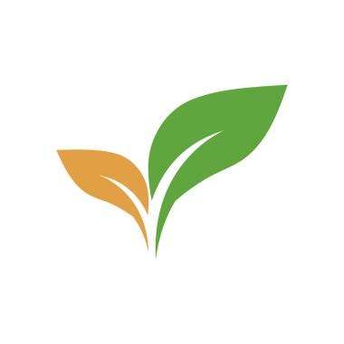 Yaprak Simgesi Vektör İllüstrasyon Tasarım Logosu şablonu