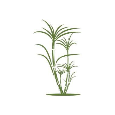 Şeker kamışı logo şablonu vektör sembolü doğa