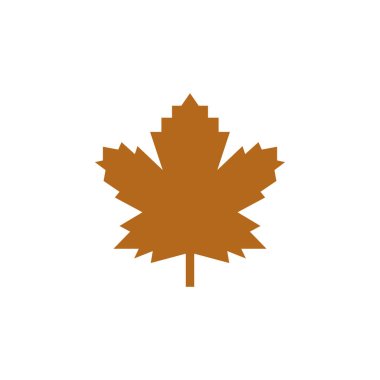 Akçaağaç yaprağı vektör çizim şablonu