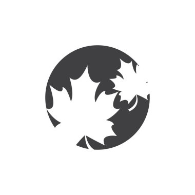 Akçaağaç yaprağı vektör çizim şablonu