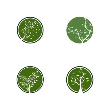 dal ağaç vektör illüstrasyon yaz clipart sonbahar clipart doğa ormanı