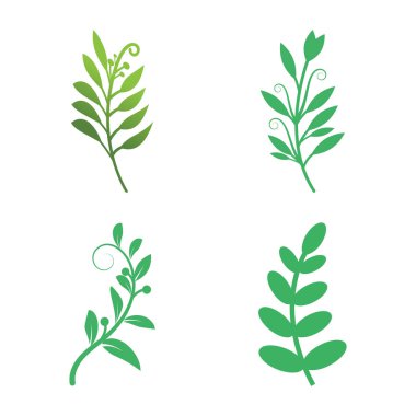 Yeşil yapraklar Botanik logo vektörü ve sembol tasarımı