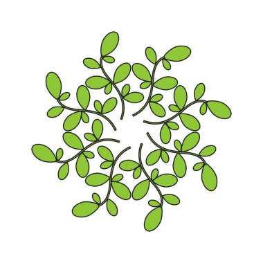 Moringa yaprağı logo şablonu vektör sembolü doğa