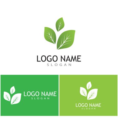 Nane düz vektör renk şablonu çizim tasarımı bırakır