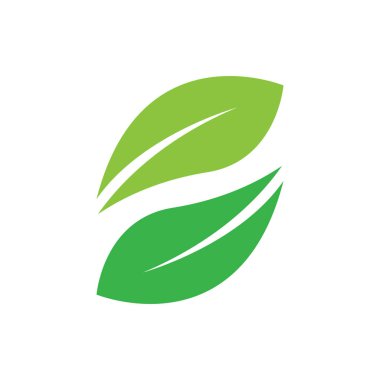 Green leaf illustration nature logo and symbol design