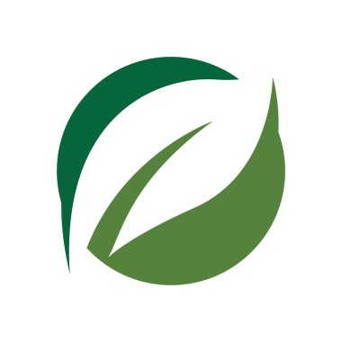Green leaf illustration nature logo and symbol design