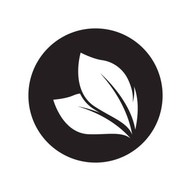 Green leaf illustration nature logo and symbol design