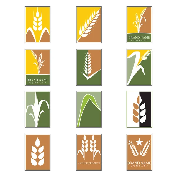Design Des Weizenvektors Für Die Landwirtschaft — Stockvektor