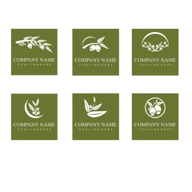 Okaliptüs logo vektör şablon tasarımı çizimi bırakır