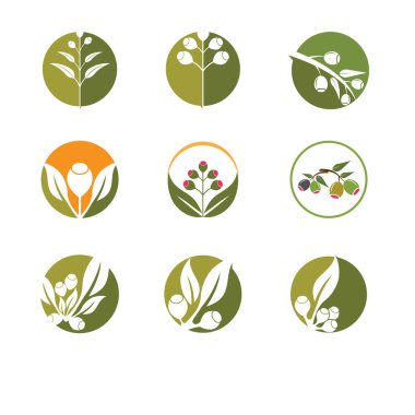 Okaliptüs logo vektör şablon tasarımı çizimi bırakır