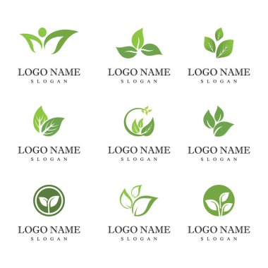 Yeşil yaprak logosu ekoloji doğa element vektör simgesi