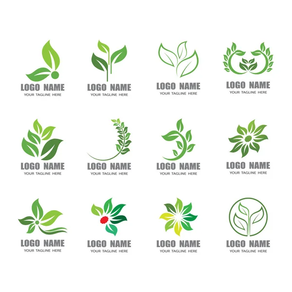 Дизайн Логотипа Природы Зелеными Листьями — стоковый вектор