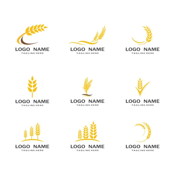 Конструкция Векторной Иллюстрации Логотипа Пшеницы — стоковый вектор