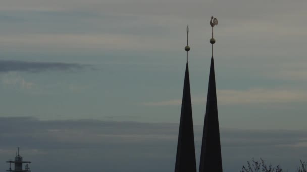 Evangelisch Lutherse Marienkirche Neustadt Weervaan Het Dak Van Kerk Hoge — Stockvideo