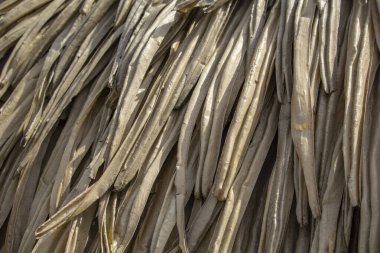 Kuru muz yapraklı çatı. Kuru yaprakların arka planı. Yüksek kalite fotoğraf