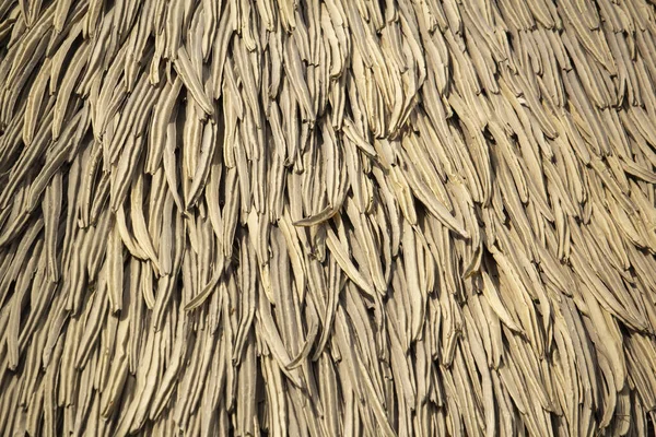 Roof with dry banana leaves. Background from dry leaves. High quality photo