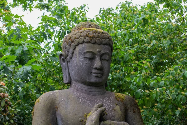 stock image Buddha statue in Walsrode Bird Park among greenery. High quality photo