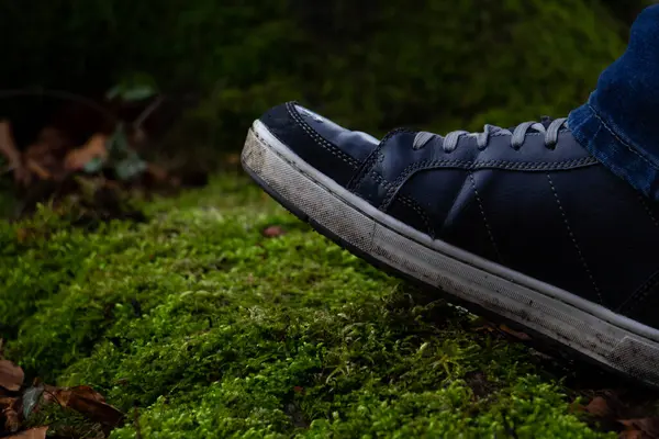 A man's foot in a dirty sneaker steps on moss in the forest. High quality photo
