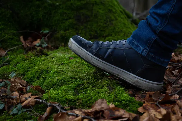 A man\'s foot in a dirty sneaker steps on moss in the forest. High quality photo