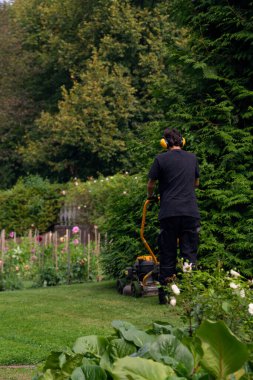 Gardener Mowing Lawn in Lush Green Garden. High quality photo clipart