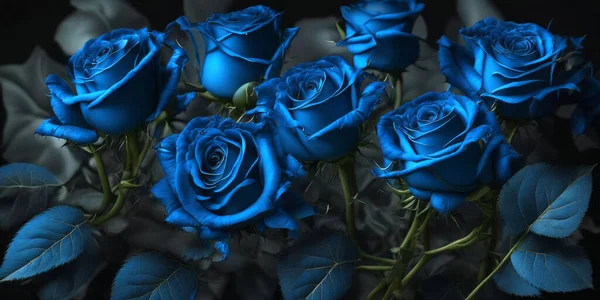 Φόντο Από Μπλε Τριαντάφυλλα Κοντά Για Ευχετήρια Κάρτα Σχεδιασμό — Φωτογραφία Αρχείου