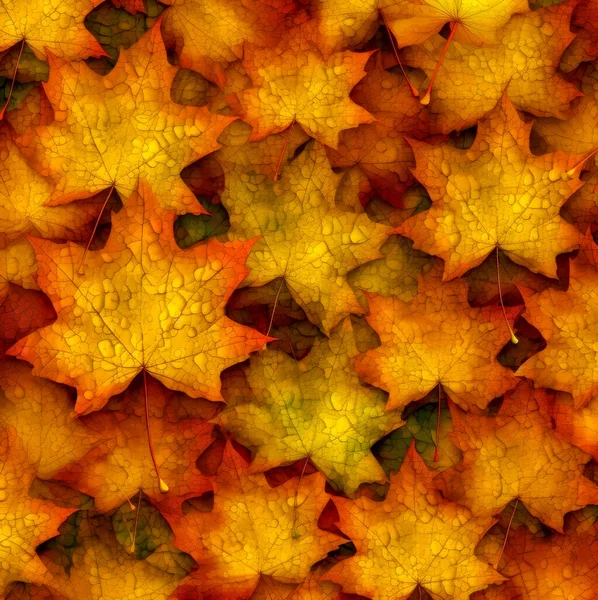 Akçaağaç Yapraklarının Bitmap Dokusu Tessellasyon — Stok fotoğraf