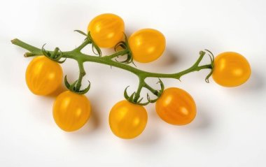 Dal üzerinde sarı kiraz domatesleri, beyaz arka planda izole edilmiş, üst tarafta..