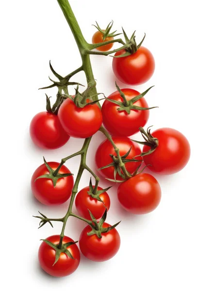 Dal üzerinde kırmızı kiraz domatesleri, beyaz arka planda izole edilmiş, üst manzara.