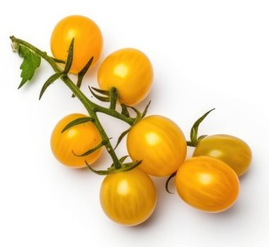 Dal üzerinde sarı kiraz domatesleri, beyaz arka planda izole edilmiş, üst tarafta..