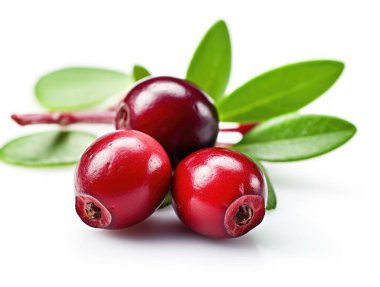 Beyaz arka planda yeşil yapraklı kızılcıklar