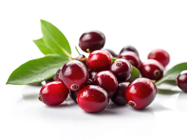 stock image Cranberries with green leaf on white background