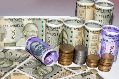 Yeni Hint Para Birimi 500, 100 ve Hint paraları