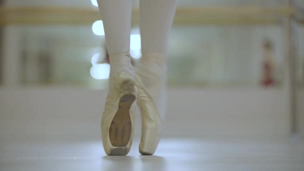 Ballerina Doing Ballet Exercises Legs Ballet Pointe Shoes — Vídeo de stock