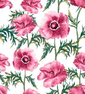 Kusursuz El Çizimi Çiçek Tasarımı, Beyaz Arkaplanda Güzel Çiçekler.