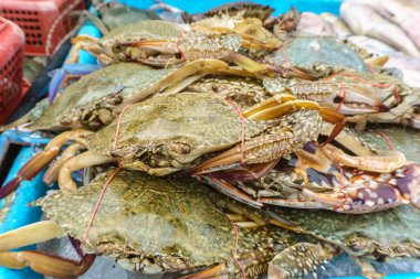 Balık pazarında çeşitli renkli taze mavi yengeçleri kapatıyoruz..