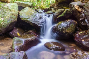 Borneo ormanında güzel bir şelale