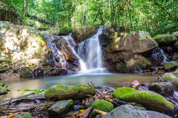Borneo ormanında güzel bir şelale