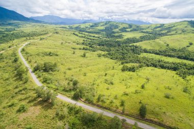 Borneo ormanının güzel hava manzarası
