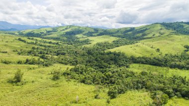 Borneo ormanının güzel hava manzarası