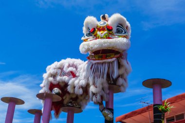 Aslan dans ve Çin Yeni Yılı kutlamaları sırasında konfeti