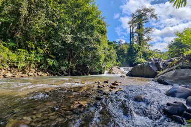 Sabah Malezya Borneo 'sunda güzel doğa derin orman nehri
