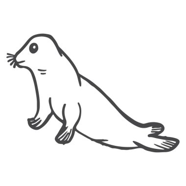 Deniz elde fok balığı çizer. Çizim çizimi çizim çizim çizimi çizim vektörü.