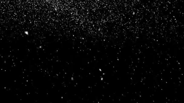 Χιονόπτωση Overlay Black Background Winter Slowly Falling Snow Effect Πράσινη — Αρχείο Βίντεο