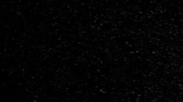 Kış Karı Düşen Kar Animasyonu Döngüsü Yavaş Çekim — Stok video